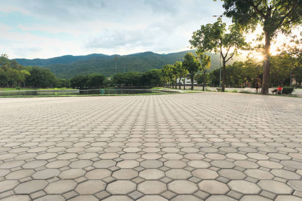 Best Concrete Paver Driveway  in Forest Ranch, CA